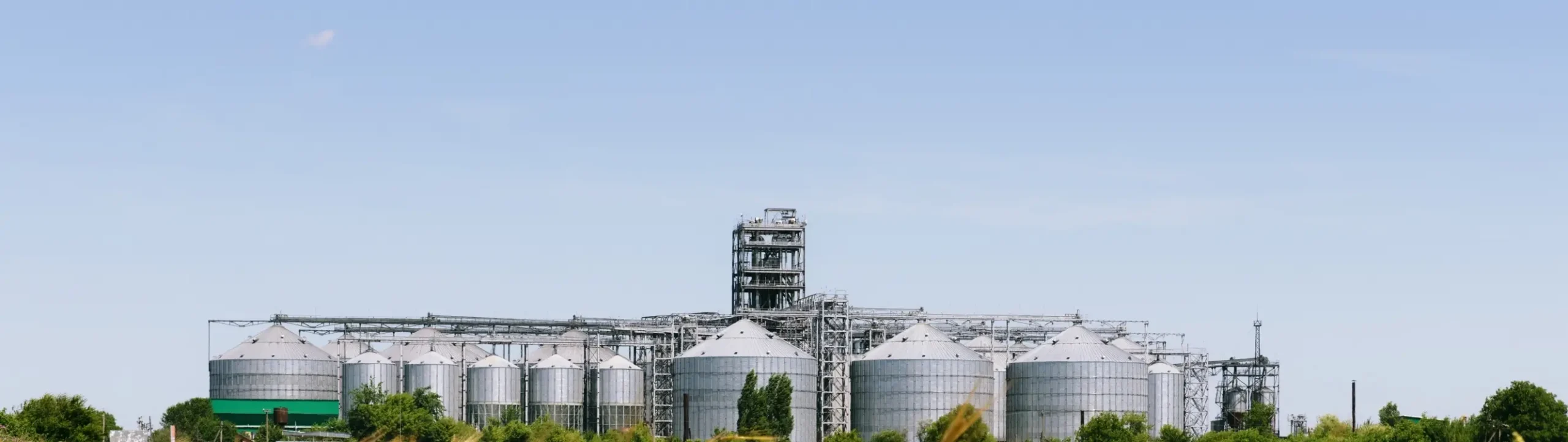 Grain and Pulse elevator